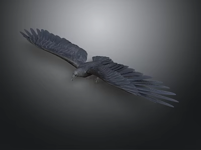 Dark Colored Eagle Flying With Spread Wings In Flight On Dark Gray Background 3d model