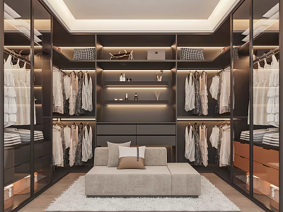 Modern Walk in Closet Interior With Glass Doors Hanging Clothes And Seating Bench 3d model