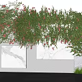 Climbing Vines With Red Flowers Covering Gray Wall Marble Panels And Metal Gate