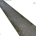 Garden Path Paving with Gravel Soil Fallen Leaves and Green Plant Borders