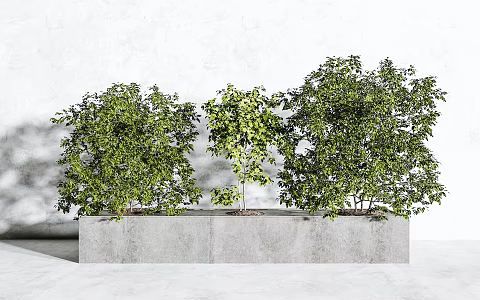 modern plant potted plant green plant trees 3d model