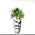 Green Potted Fern Plant In White Irregular Textured Vase On Light Gray Background