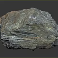 Natural Wood Stone with Colorful Texture and Rough Surface Featuring Unique Earthy Tones