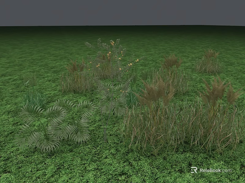 Various Types of Shrubs and Grasses in Lush Green Grassland Landscape 3d model 