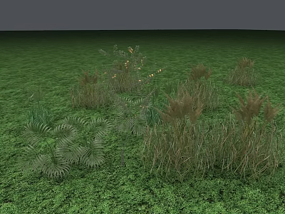 Various Types of Shrubs and Grasses in Lush Green Grassland Landscape 3d model
