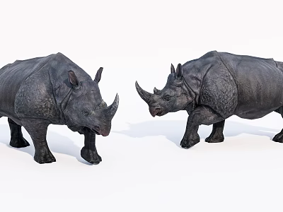 Two Dark Reptiles With Horns Walking On White Background Surface 3d model