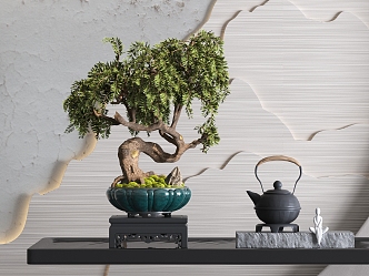 New Chinese potted pine bonsai 3d model