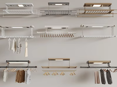 Various Styles Of Closet Hangers Design With Hooks And Open Storage Shelves For Home 3d model