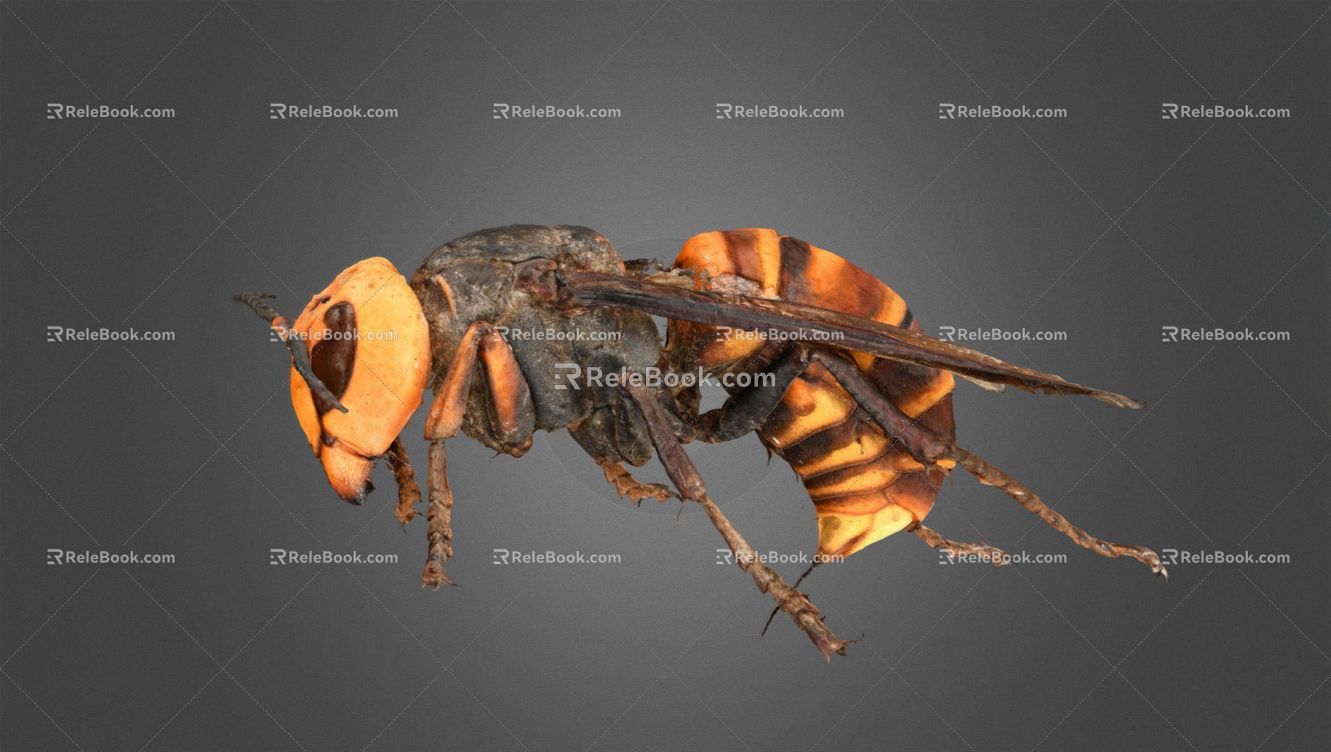 Modern Grasshopper 3d model