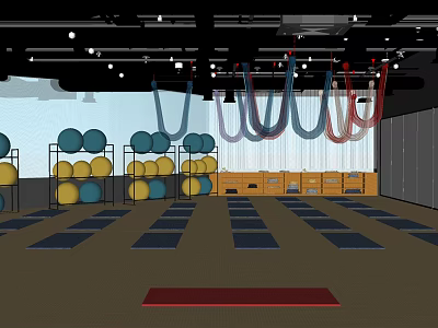 Fitness Studio With Colorful Suspension Rings Exercise Balls Yoga Mats And Lockers 3d model