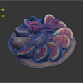 Fresh Fig And Red Berry Fruit Tart With Crispy Golden Crust