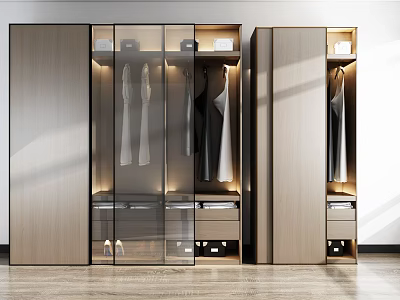 Modern Wardrobe Design With Glass And Wooden Doors Built in Lighting Hanging Space And Drawers 3d model
