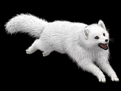 White Fox With Fluffy Fur Running On Black Background In Dynamic Pose 3d model