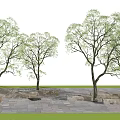 Stone Outdoor Chairs in Park Setting with Trees Brick Pavement and People Around