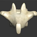 Detailed White Bone Like Sculpture With Textured Surface And Reflection On Black Background 3d model
