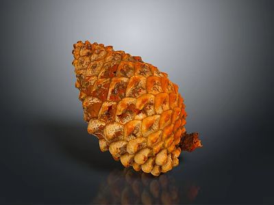 Natural Orange Textured Pinecone Decorative Accessory For Household Living Space Decor 3d model