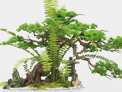 Lush Courtyard Garden Displaying Pine Tree Ferns Stone Lantern Rocks And Moss 3d model