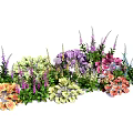 Vibrant Mixed Garden Flowers And Green Foliage With Purple Pink Yellow Orange Blooms