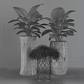 Modern Indoor Bonsai Plants With Decorative White Black Vases And Small Table