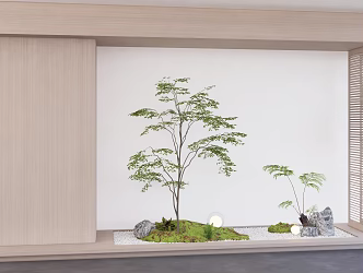 Modern courtyard sketch landscape plant combination 3d model