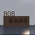 Elegant Swing Door for Ruoshui Health Space with 808 Number and Modern Style