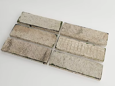 Vintage Textured Brick Slabs With Natural Surface And Rectangular Design 3d model