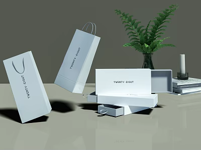 Elegant Decorative Ornament Set With White Shopping Bags Boxes Green Plant Vase Candle And Books 3d model