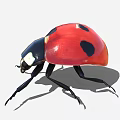 Detailed Vibrant Red and Black Ladybug with Sheath Wings and Black Body