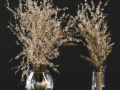 Two Glass Vases With Dried Flowers And Slender Branches On Black Background 3d model