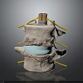 Human Spine Anatomy Model Showing Vertebrae Disc And Nerve Roots Structure 3d model