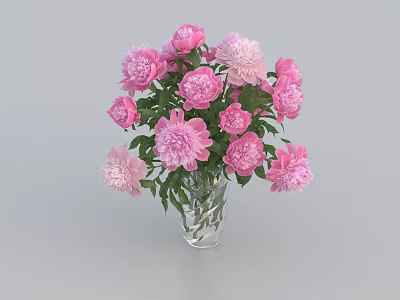 Beautiful Pink Peonies Arranged in Clear Glass Vase with Fresh Green Leaves 3d model