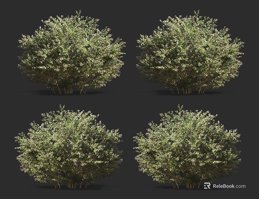 Lush Green Shrubs for Garden Landscaping with Dense Foliage and Natural Shape 3d model 