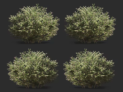 Lush Green Shrubs for Garden Landscaping with Dense Foliage and Natural Shape 3d model