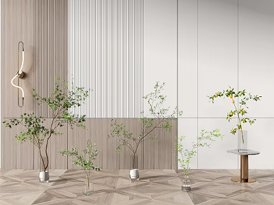 modern vase hydroponic plant vase 3d model