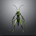 Anthropomorphic Praying Mantis 3D Character Model With Green Exoskeleton And Long Antennae