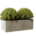 green plant potted plant plant pile green plant 3d model