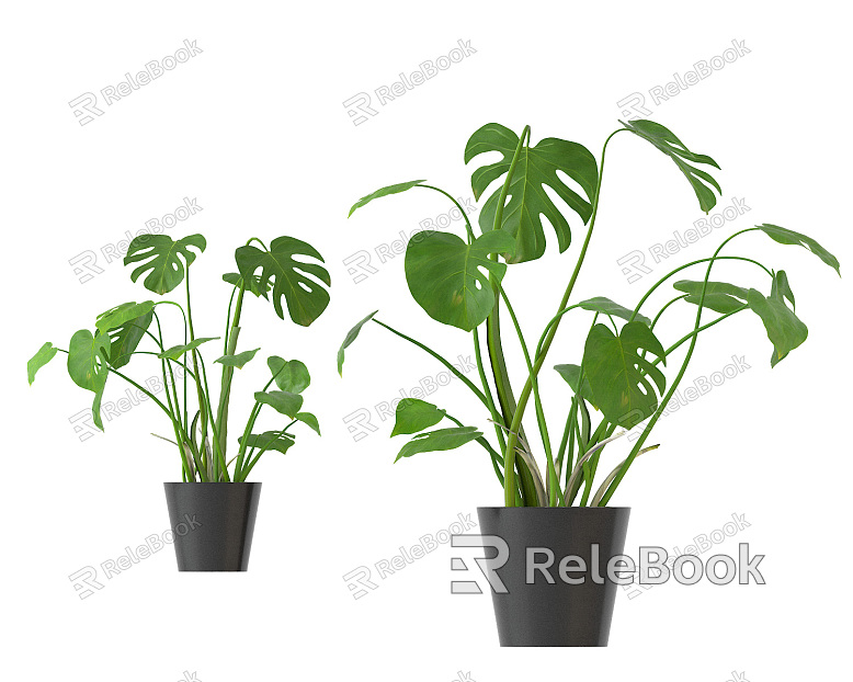 Nordic Potted Plant Indoor Plant Potted Plant model