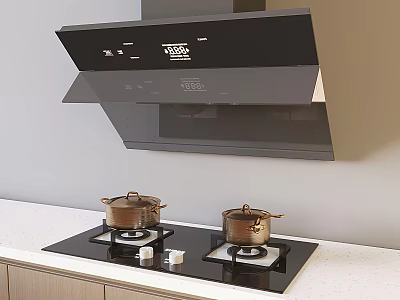 Modern Kitchen Range Hood And Gas Stove With Pots On Countertop 3d model