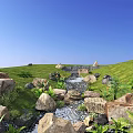 Waterside Landscape With Green Grassland Small Stream Surrounding Rocks And Flowers Under Blue Sky