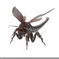 3D Rendered Fantasy Insect With Transparent Wings And Long Slender Legs On White Background