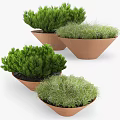 Charming Garden Decorative Pieces with Terracotta Pots Green Shrubs and Grasses