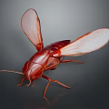 Detailed Red Cockroach With Transparent Wings Macro View On Dark Background 3d model