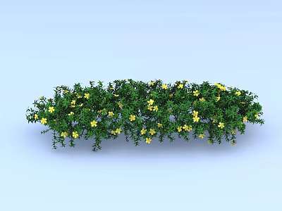 Green Leafy Bush With Yellow Small Flowers In Long Strip Shape On Light Blue Background 3d model