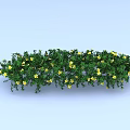 Green Leafy Bush With Yellow Small Flowers In Long Strip Shape On Light Blue Background