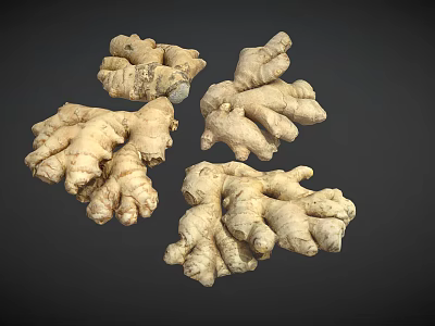 Fresh Whole Raw Ginger Roots Natural Unpeeled Healthy Vegetable on Dark Background 3d model