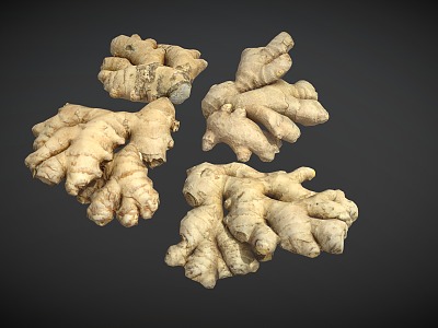 Ginger 3d model