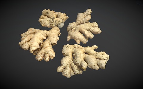 Ginger 3d model