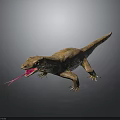 Reptile Lizard With Brown Body And Pink Tongue Sticking Out On Grey Background