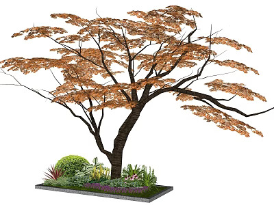 Arbor With Orange Brown Leaves Thick Trunk And Green Shrubs In Planting Bed 3d model