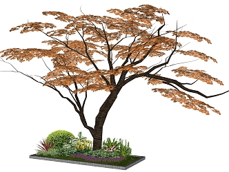 2D plant combination SU model 3d model